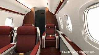 Meconopsis realtime software for aircraft interiors [upl. by Rihsab]