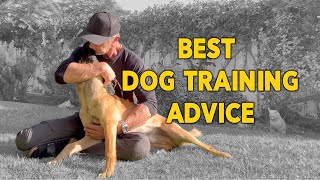 Best Dog Training Advice  Don’t Compare Your Dog to Dogs on Social Media [upl. by Sivahc693]