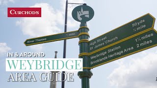 In amp Around Weybridge  Area Guide [upl. by Ahtimat]