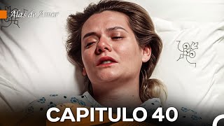 Alas de Amor Capitulo 40 Doblado En Español [upl. by Eadas]