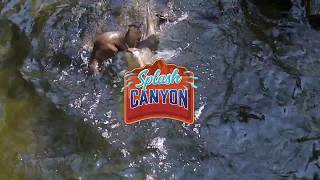 Splash Canyon Liguoris 2018 Catholic VBS [upl. by Fitzger]