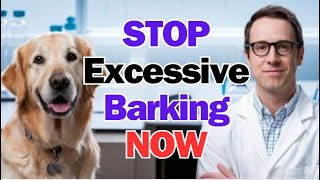 STOP Excessive Barking NOW with This Proven Method [upl. by Alarick739]