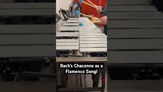 Ed Smith Plays Bach Chaconne as a Flamenco Song bach chaconne vibraphone [upl. by Gwenni]