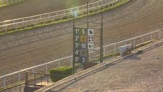 CARRERAS LAS PIEDRAS 81124  EN VIVO  URUGUAY [upl. by Nosirb642]