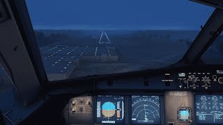 MSFS  Fenix A320 Foggy Landing in Sunshine Beach  60FPS [upl. by Adnalor]