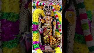 Mariamman whats app status song  amman viral shortvideo [upl. by Lunette]