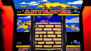 Anteater Arcade Cabinet MAME Gameplay w Marquee [upl. by Akinna]