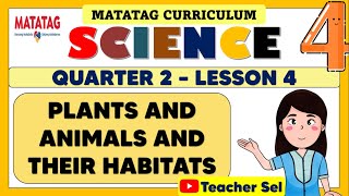 SCIENCE 4 QUARTER 2 WEEK 4 MATATAG  PLANTS AND ANIMALS AND THEIR HABITATS [upl. by Xuaegram752]