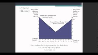 Dynamic Efficiency and Sustainable Development [upl. by Pleione]