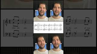 The most beautiful harmonies you will hear today acapella barbershopharmony [upl. by Tyrone]