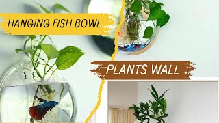 Fish bowl decoration ideas aquarium fighterfish fish bowl plants home decoration meesho [upl. by Apoor960]