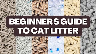 What TYPE of Cat Litter Should You Buy  Beginners Guide [upl. by Denton]