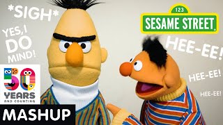 Sesame Street Bert and Ernie Friendship Mashup  Sesame50 [upl. by Ydnak23]