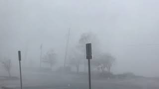 Hurricane Michael  Callaway  Peak Winds [upl. by Johathan]