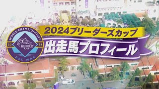 2024ブリーダーズカップ出走馬紹介  JRA公式 [upl. by Auohp]