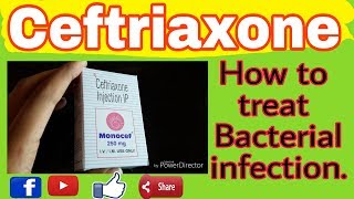 Monocef 1gm injectionCeftriaxone mechanism of actionEp1416112018use of monocef injection [upl. by Nyladnarb]