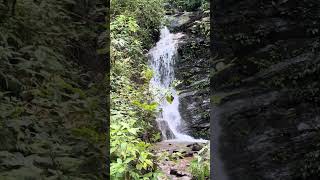 Beautiful Small Waterfall ⋄ Nepal is Beautiful ⋄ MajorToli shorts viral waterfall nature [upl. by Ailimat]