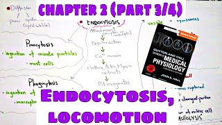 Phagocytosis Pinocytosis Chapter 2 part34 Ameboid movement Ciliary movement  Guyton and Hall [upl. by Analise]