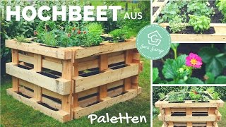 Hochbeet aus Europaletten selber bauen  Bauanleitung  Beet aus Paletten  Palettenmöbel  DIY [upl. by Ambrosane]