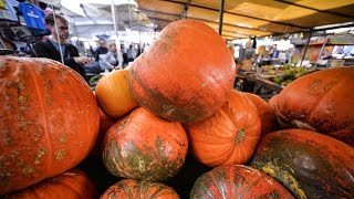 Los beneficios y propiedades de la calabaza [upl. by Adnoek]