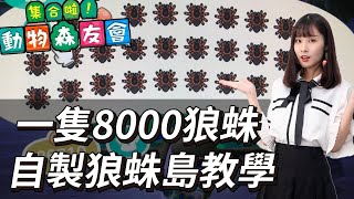 動物森友會新手教學 超級簡單 動森必學自製狼蛛島 賺錢賺到翻過去 第一階段房戰直接還完還買了超多家具  動物森友會  動物之森賺錢CC字幕 [upl. by Damas]