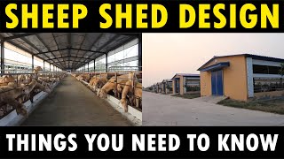 Sheep Shed Design  Sheep Farming  Lamb wool Farming [upl. by Diao]