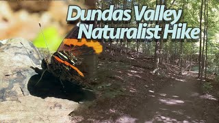 Naturalist Guided Hike in Dundas Valley Ontario  At Natures Pace Summers Ebb Hike 3 4K60FPS [upl. by Nesnah287]