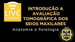 Introdução a avaliação tomográfica dos seios maxilares – Anatomia e fisiologia [upl. by Animlehliw]