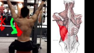 How To Properly Do Lat Pulldowns [upl. by Atnahs489]