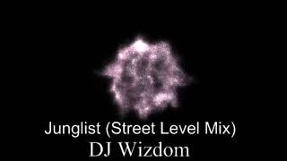 Congo Natty  Im a Junglist Street Level Mix [upl. by Flavia]