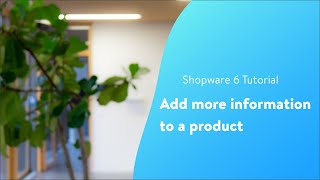 Add more information to a product Shopware 6 Tutorial EN [upl. by Sharon915]