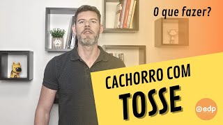 163  CACHORRO COM TOSSE TOSSINDO ENGASGADO  O QUE FAZER COMO CURAR [upl. by Neellok]