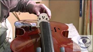 How to Set Up a Student Cello Correctly [upl. by Lamej482]