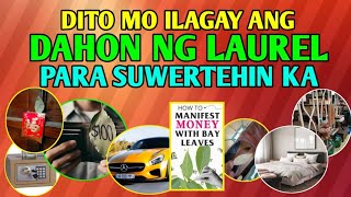 10 PINAKA MASWERTENG LUGAR KAPAG NILAGYAN MO NG DAHON NG LAUREL [upl. by Anitsrihc]