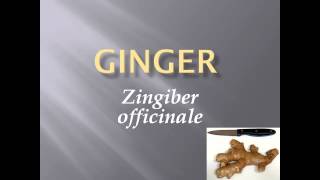 Pronunciation Picture and Scientific name of vegetable GINGER [upl. by Nytsirk]