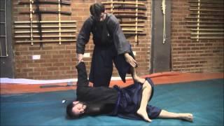 Ogawa Ryu  Aikijujutsu  Training moments  2014 [upl. by Adnyc]