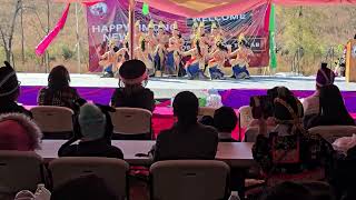 Ntxhais Seev Li Yees 2nd place winner Hmong NC New Year 20242025 Dance Competition Round 2 [upl. by Vladamar]