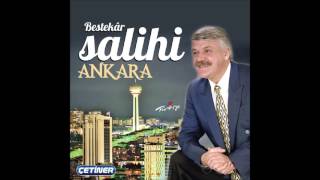 Saliha  Bestekar Salihi  Aşık Salihi  Offical Audio [upl. by Rabah]