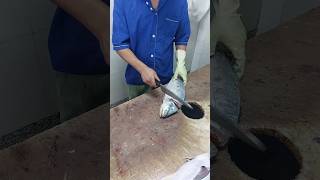 Queenfish Clean amp Cutting  How To Fillet Fish [upl. by Rma385]