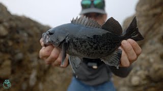 Fishing for Rockfish on the California Coast [upl. by Carolyne]