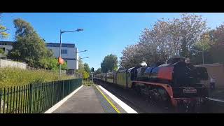 CTV Vlog 6 trains at bowral featuring steam locomotive R766 [upl. by Ytsur595]