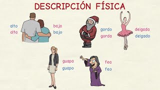 Aprender español Vocabulario descripción física nivel básico [upl. by Eceryt162]