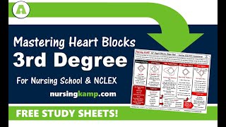 What is 3rd degree Heart Blocks Nursing KAMP [upl. by Ymaj782]