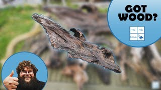 How To Prepare And Collect Driftwood For Freshwater Aquarium [upl. by Anwaf]