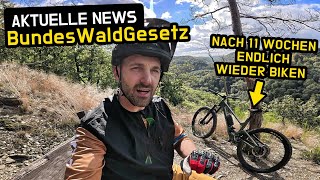 Können Mountainbiker aufatmen 🌲👎👍 NEUES WALDGESETZ 🚲 Erste MTB Tour nach Handverletzung [upl. by Meehan]