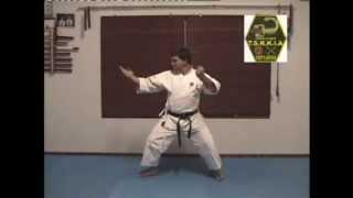 Tekki Yondan Sacred Tokon Shotokan Karate Kata [upl. by Norrahs]