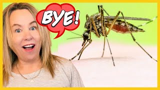 Say Goodbye to Nasty Mosquito Bites 4 Secret Tips [upl. by Rawdon446]