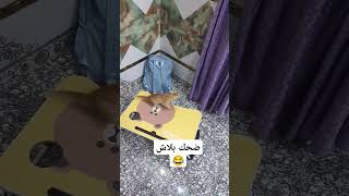 اكسبلور الايك متابعه funnyvideo automobile art cat اشترك food شتركوبالقناه اشتركو [upl. by Kwang]