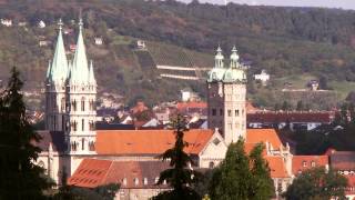 Naumburg Dom St Peter amp Paul Plenum [upl. by Aimo]