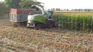 Claas Jaguar 890 SpeedStar Agrotecnica Fraron [upl. by Ryan]